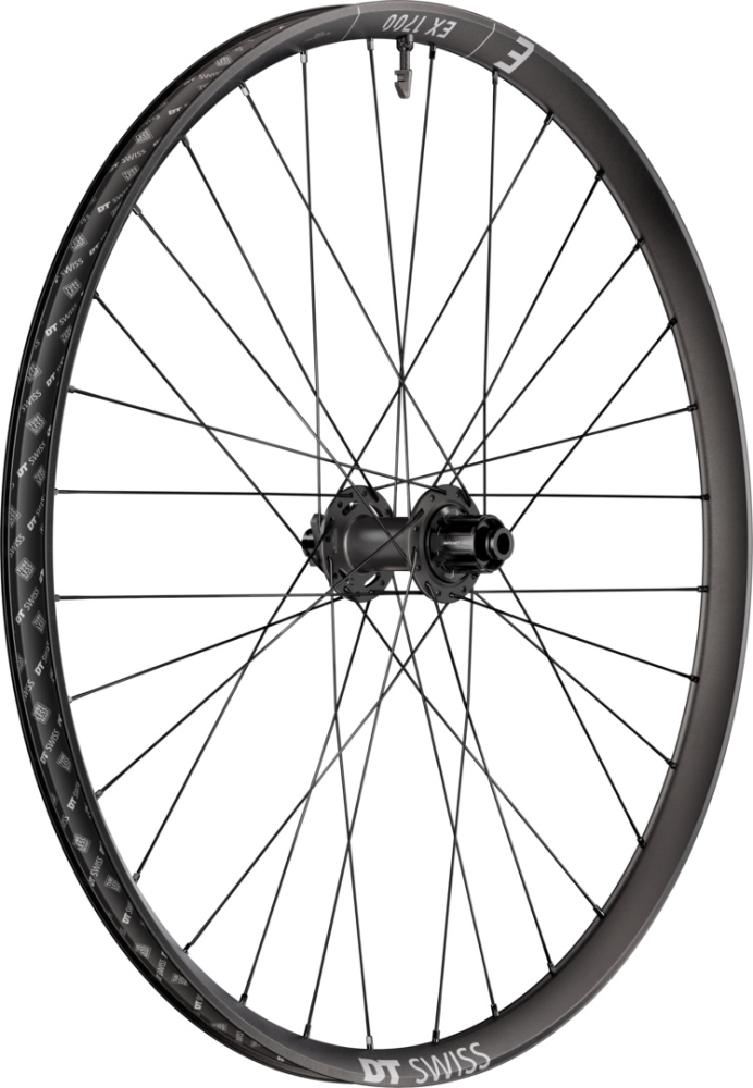 DT Swiss DT EX 1700 CLASSIC Laufrad 29" CL 30 148/12 XD DEG 72 DF