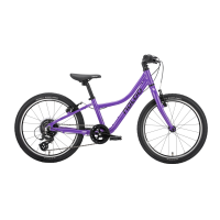 NALOO Chameleon 20", Mk2.1, 8-Speed, Purple