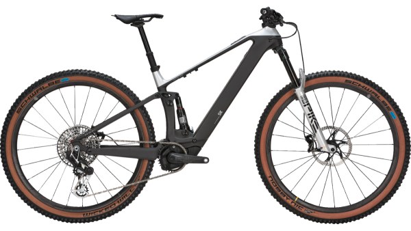 Light E-Bike