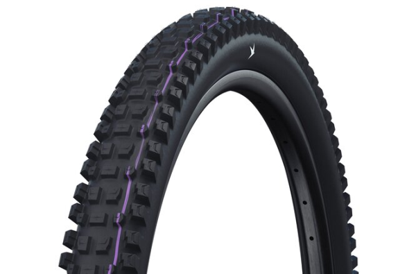 Schwalbe Albert