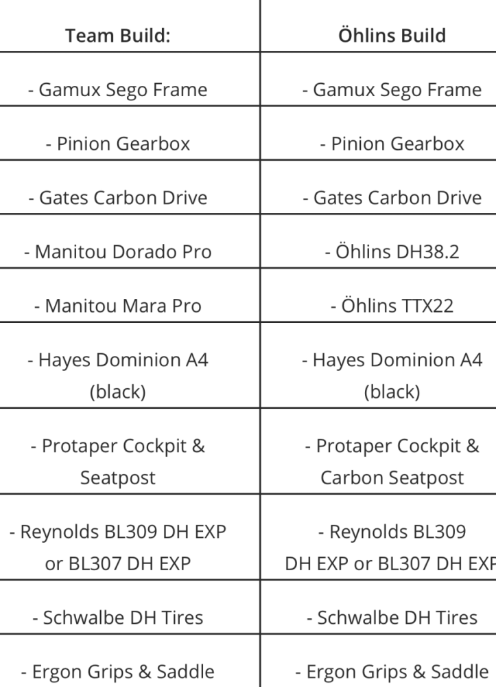 GAMUX SEGO / Pinion C 1.6 - Smart Shift / Team