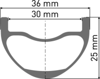 DT Swiss EXC 1501 SPLINE Laufrad 29" IS 30 110/15mm